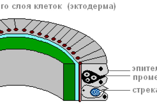 Сайт kraken darknet