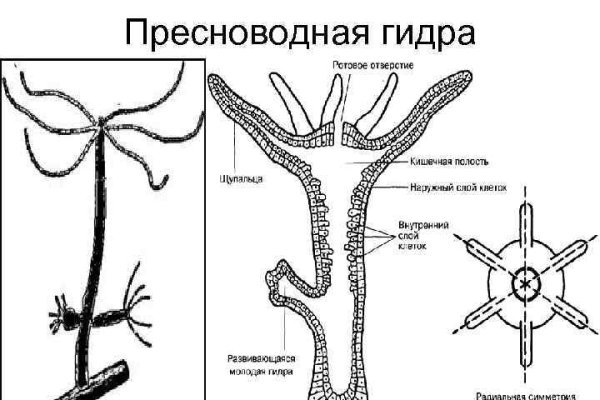 Кракен ссылка замена