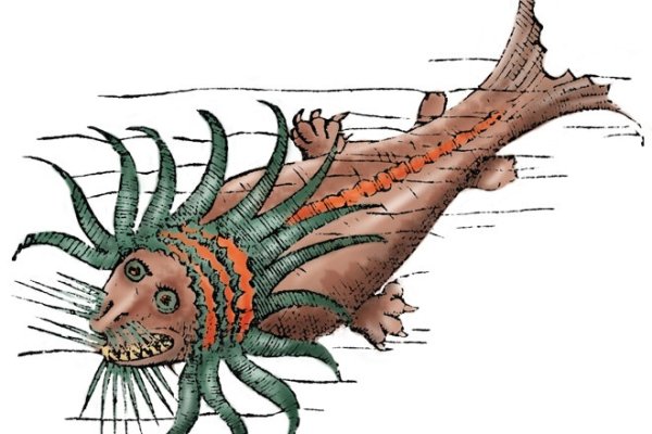 Kraken online