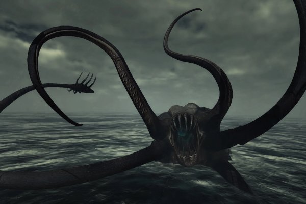 Как вывести деньги с kraken